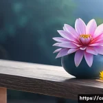 요양병원 환자 생활 지원 서비스 관련 이미지 1